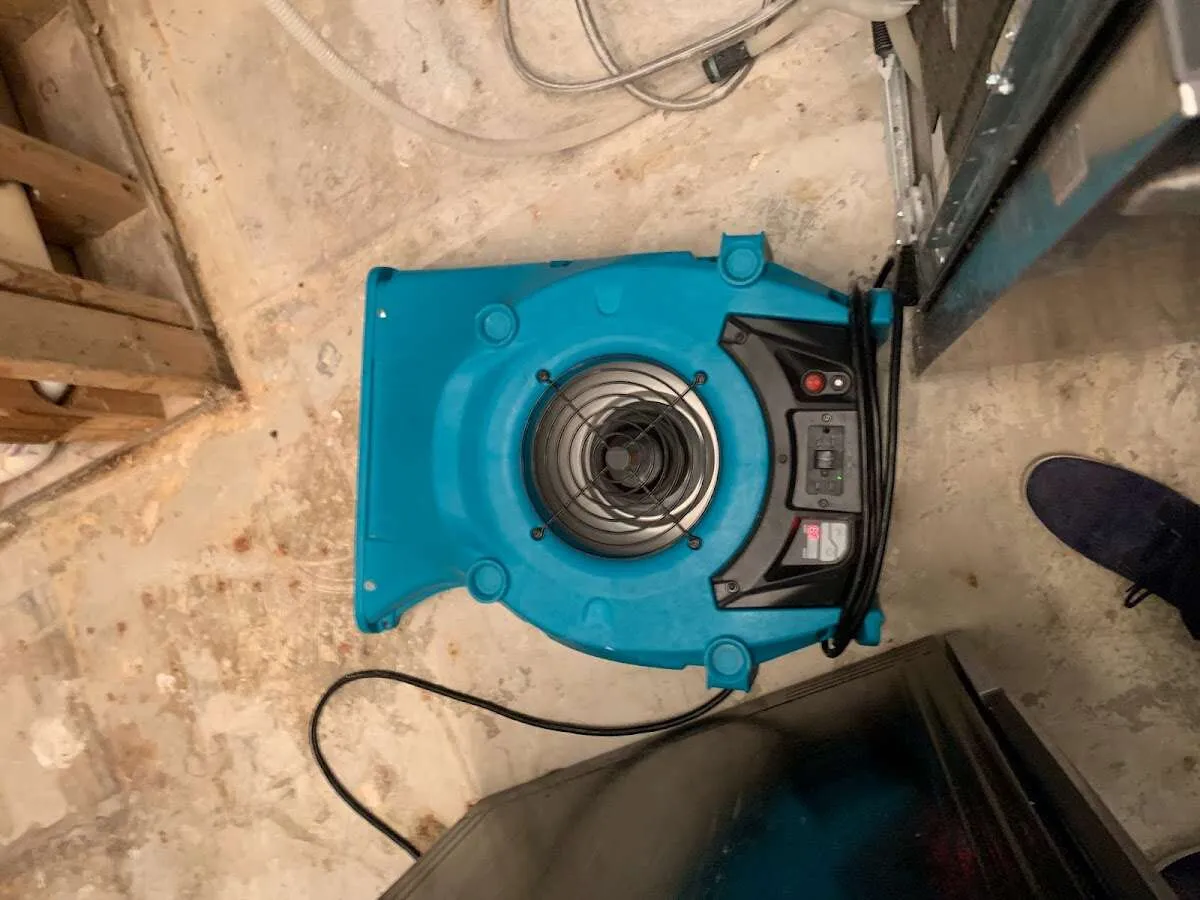 Air mover drying equipment for Mold Remediation & Removal in Lawrence